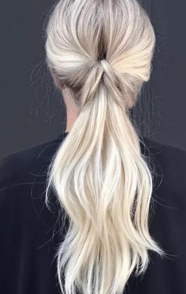 ponytail ideas for school