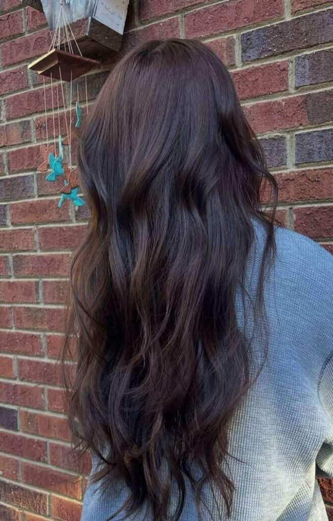 hair color ideas for brunettes 