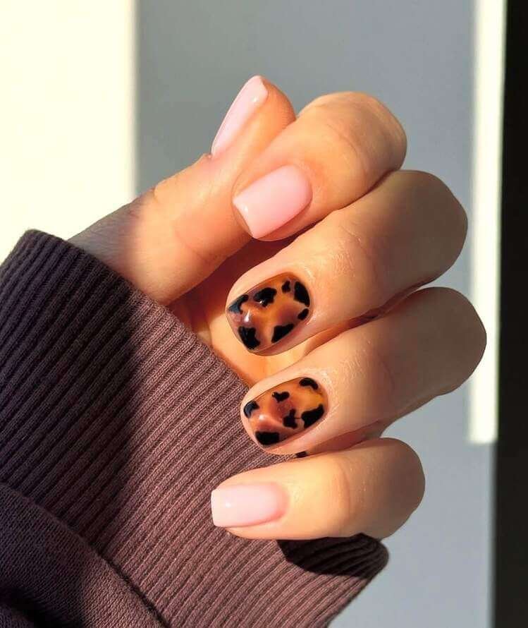 short fall nails